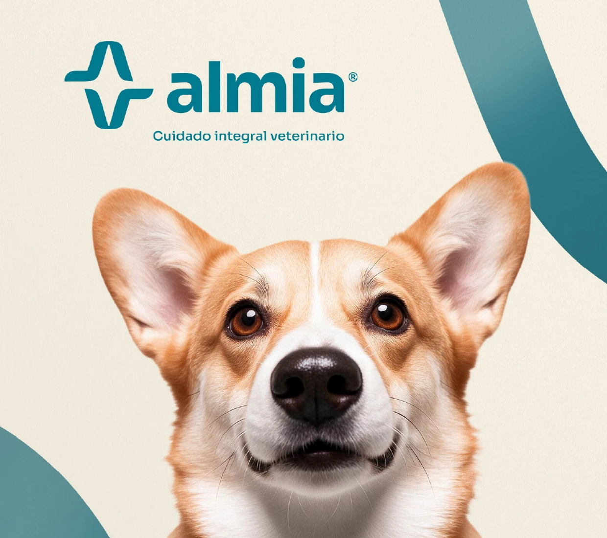 Aplicaciones de marca Almia